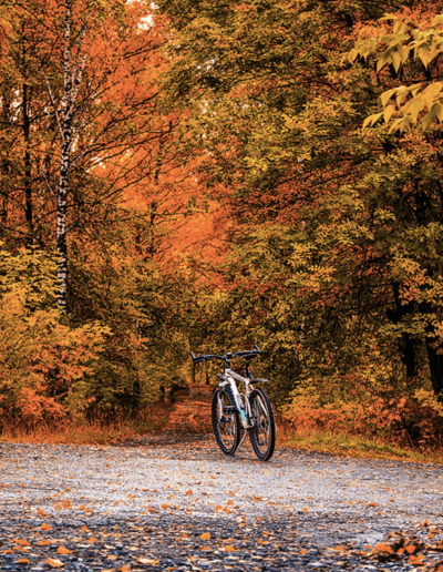 Vélo en Vallée de Chevreuse