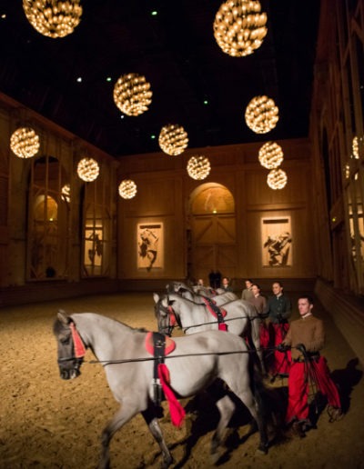 Académie Equestre Versailles