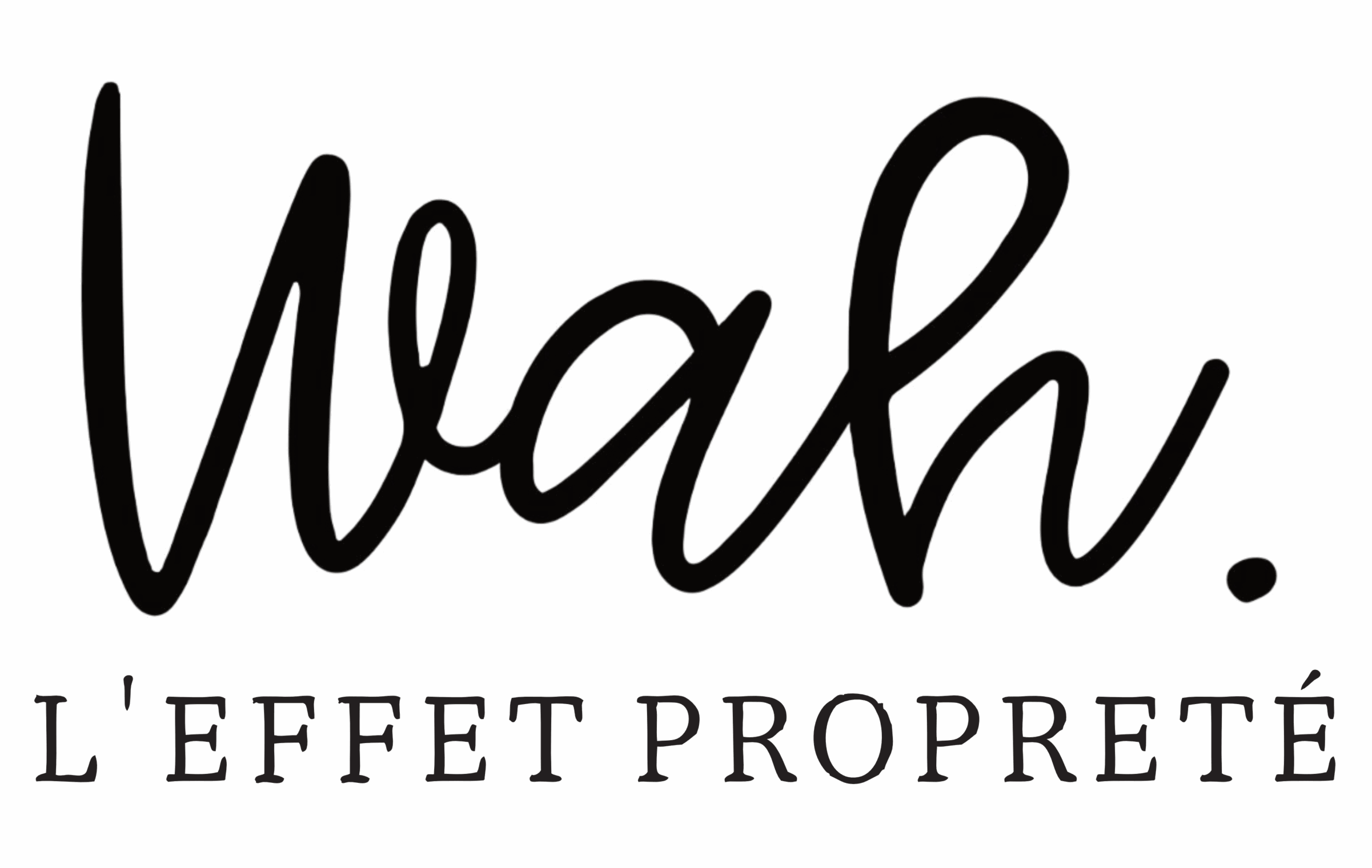 LOGO-Wahleffetpropreté LOGO-Wahleffetpropreté