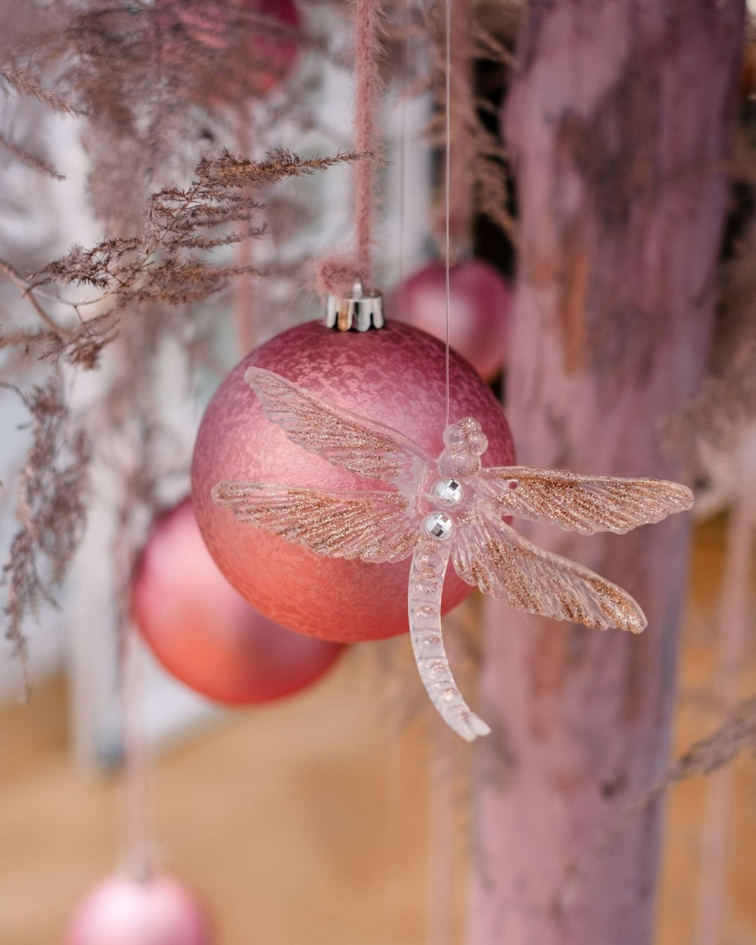 LesLumieres_nouvelan25